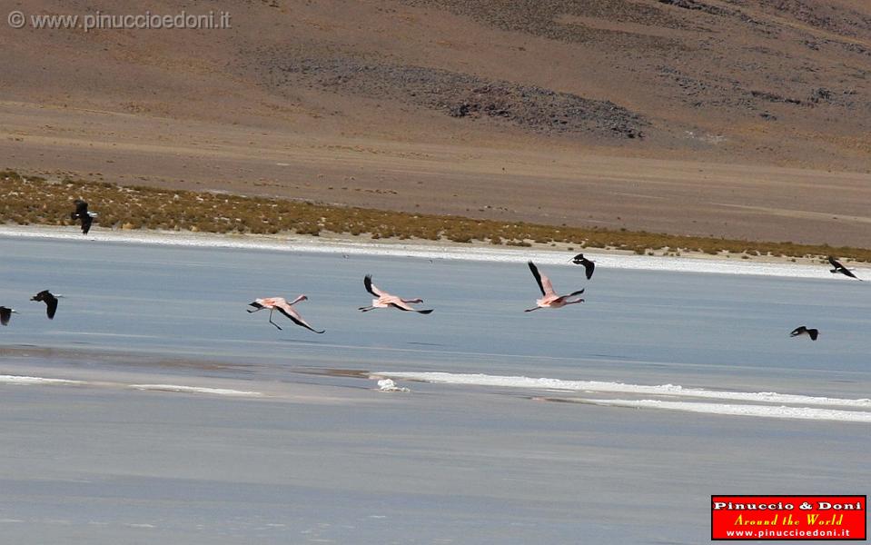 BOLIVIA 2 - Ruta de Las Joyas - Laguna Kanapa - 30.jpg